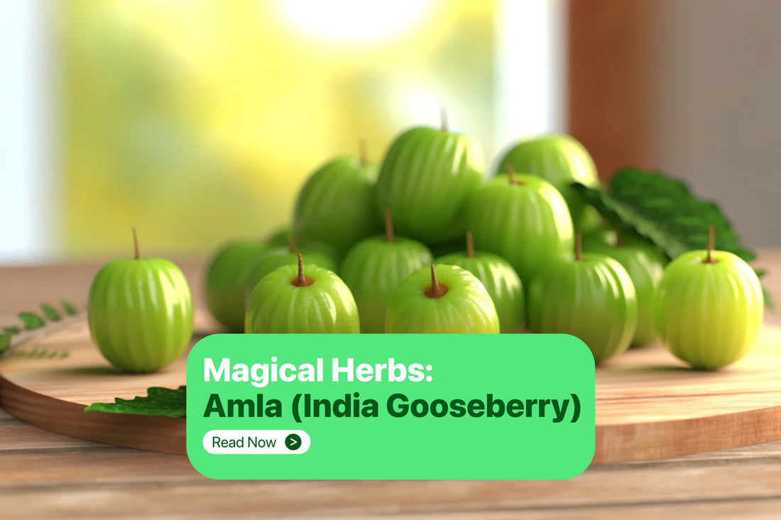 Amla Benefits : Common uses, Side effects and Risks
