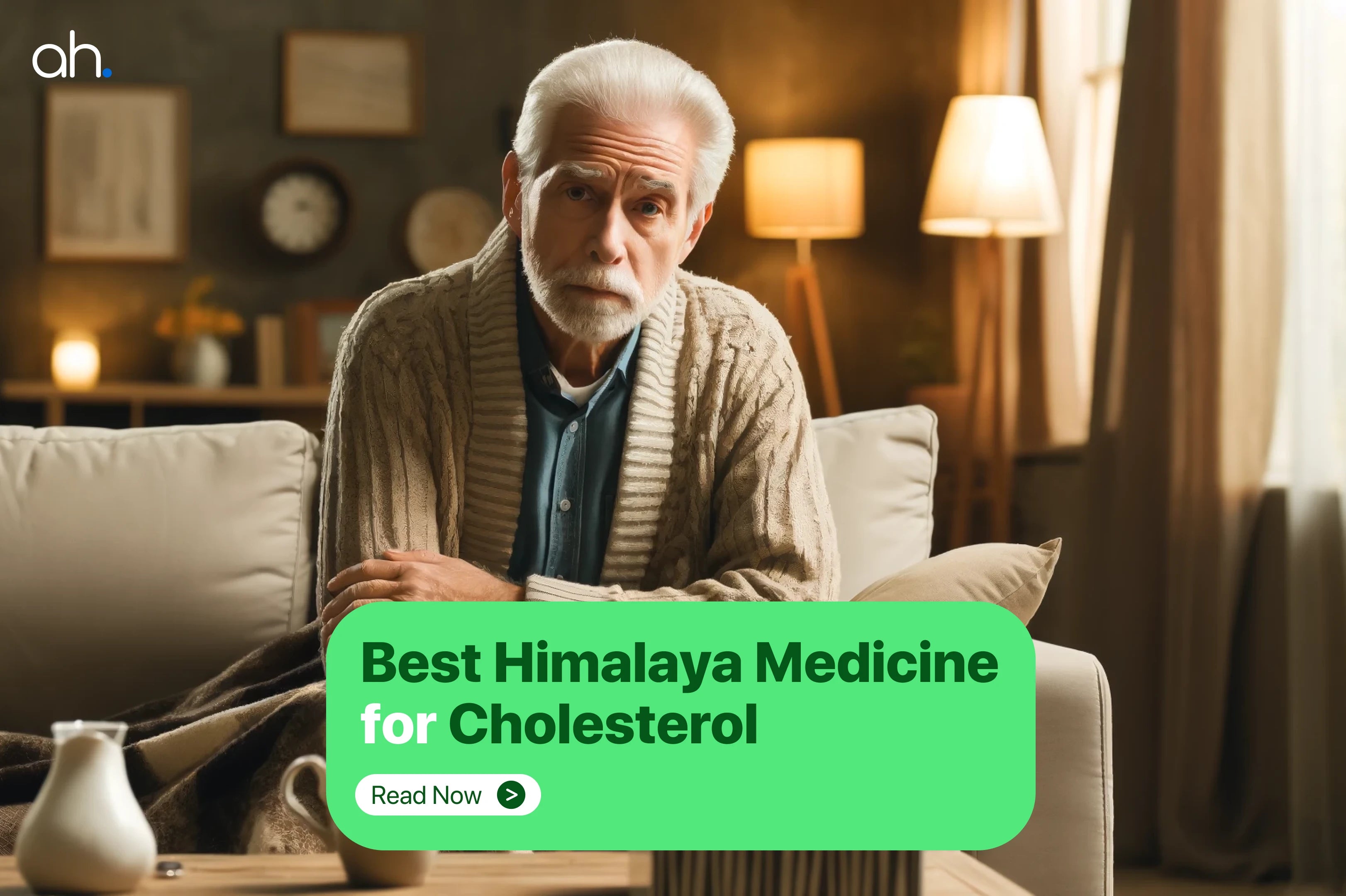 Himalaya Medicine for Cholesterol