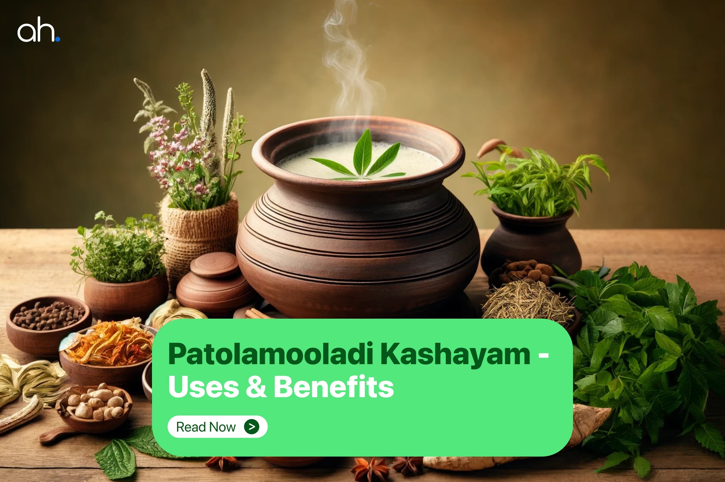 patolamooladi_kashayam_uses_benefits.webp