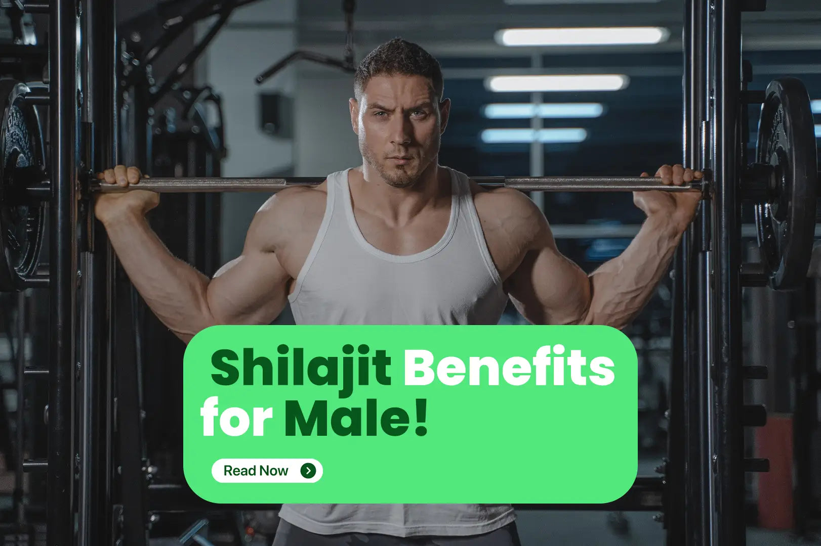 shilajit benefits for male