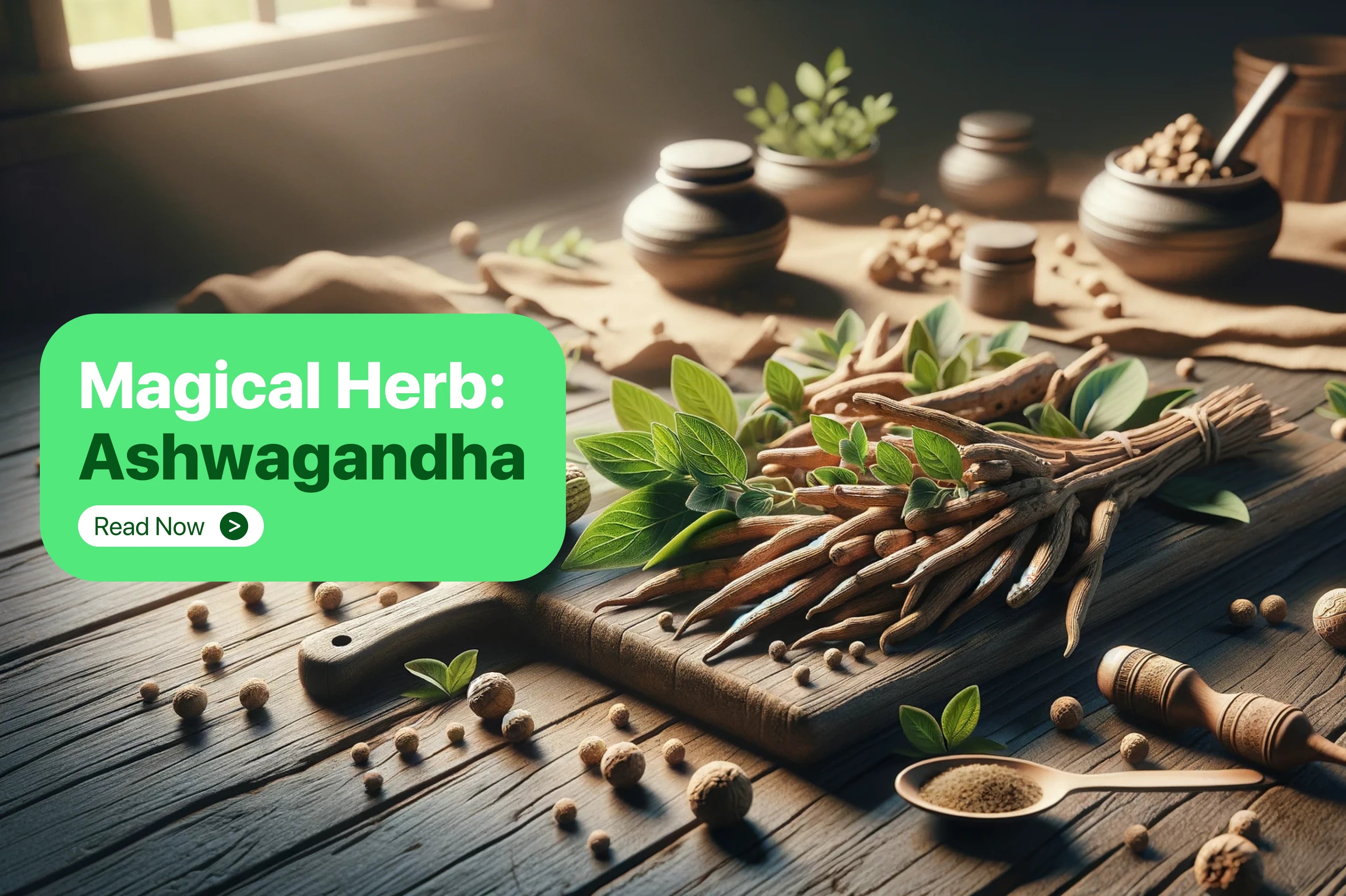 Ashwagandha : Health Benefits, Uses, & Side Effects