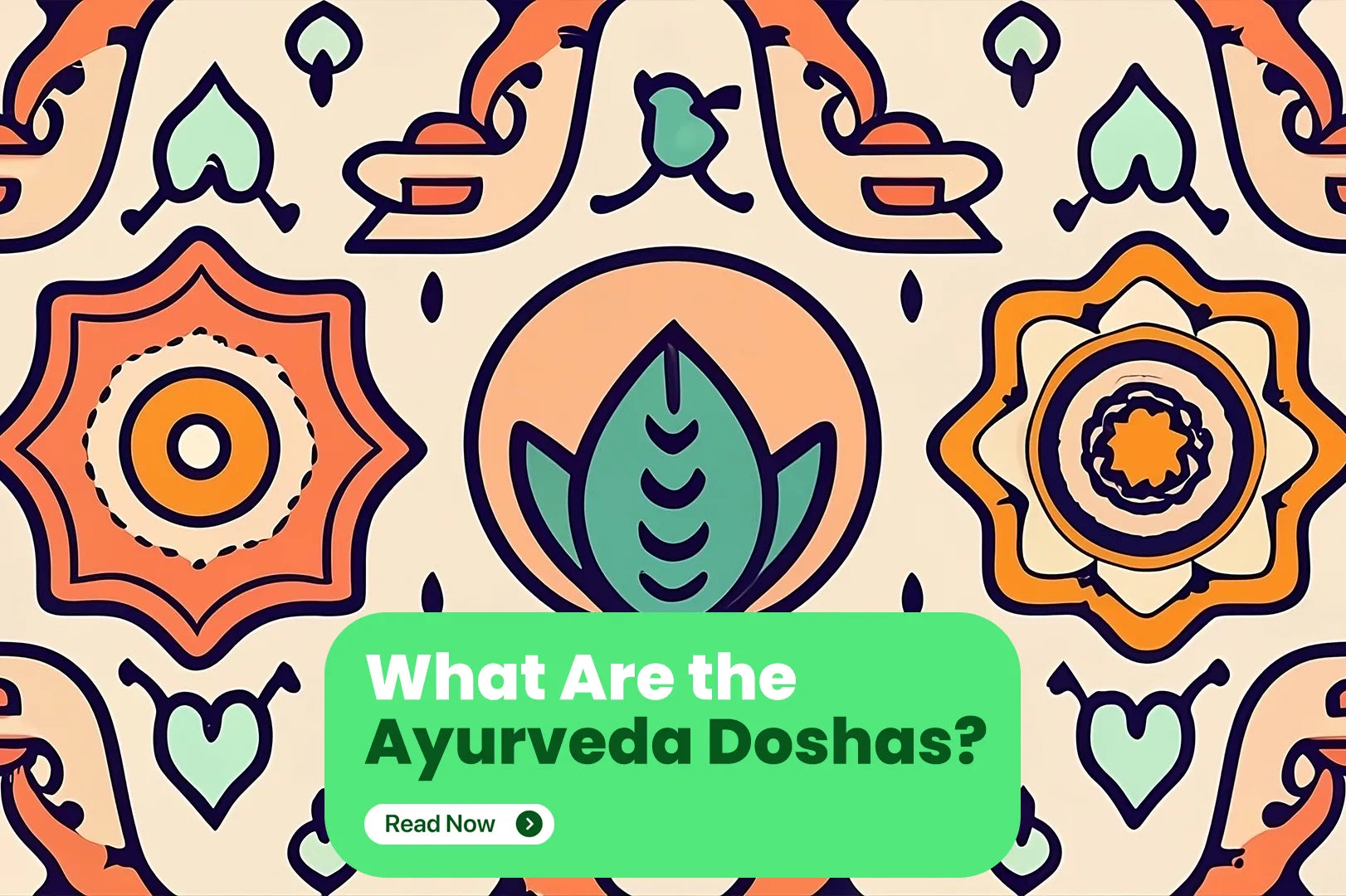 what are ayurveda doshas?