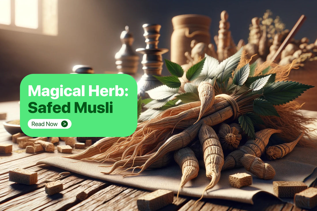 Safed Musli: Benefits, Uses, Side Effects, and More