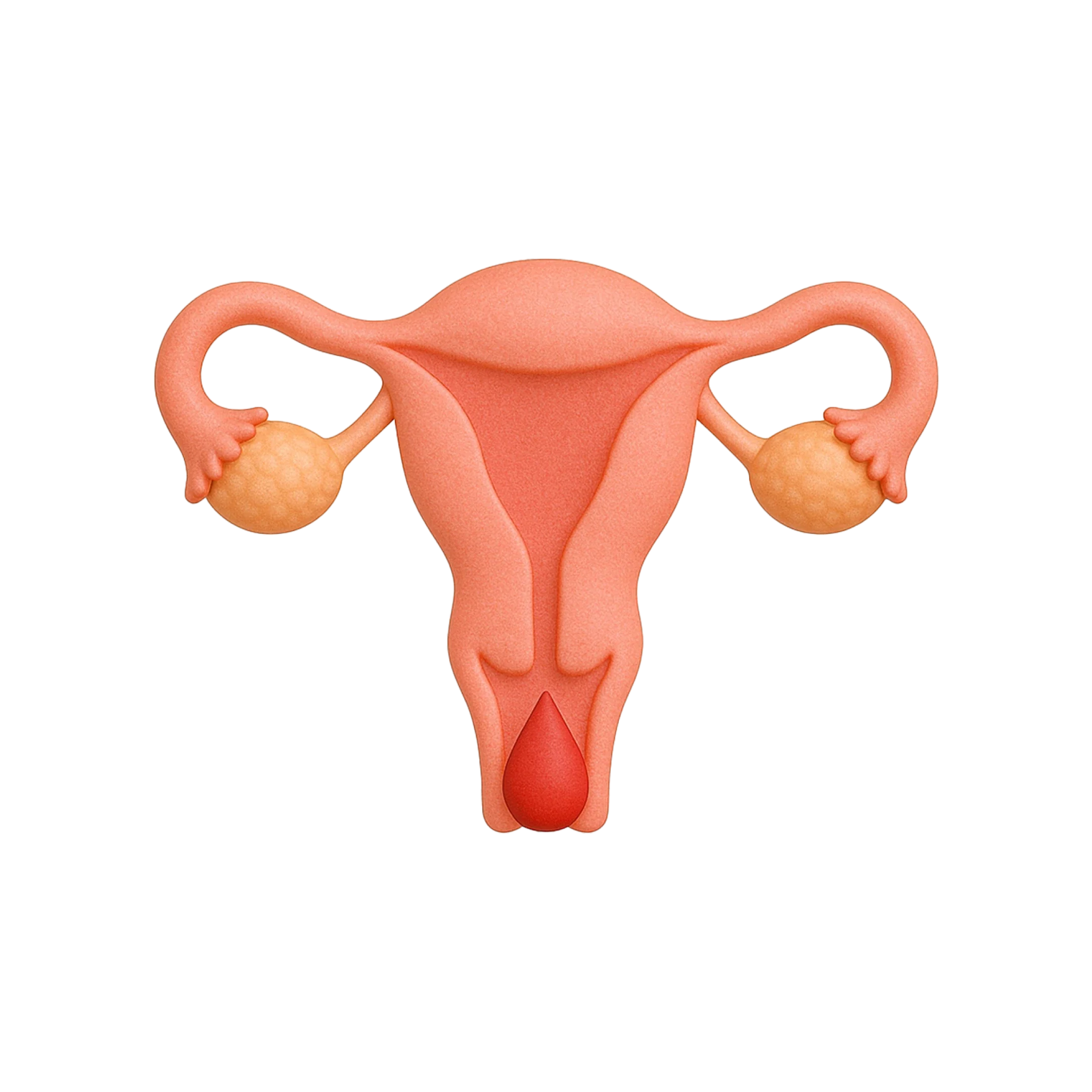 Metrorrhagia