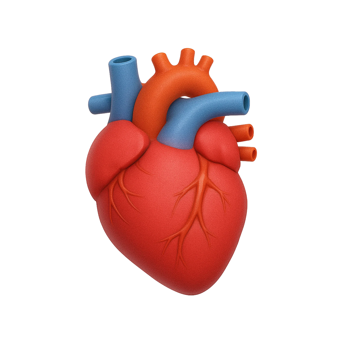 con_cardiac.webp