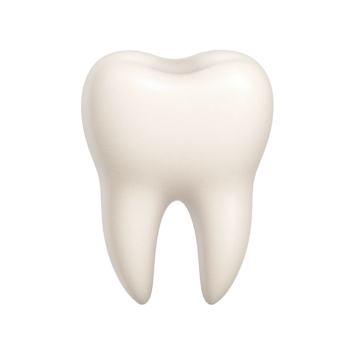 con_dental.webp