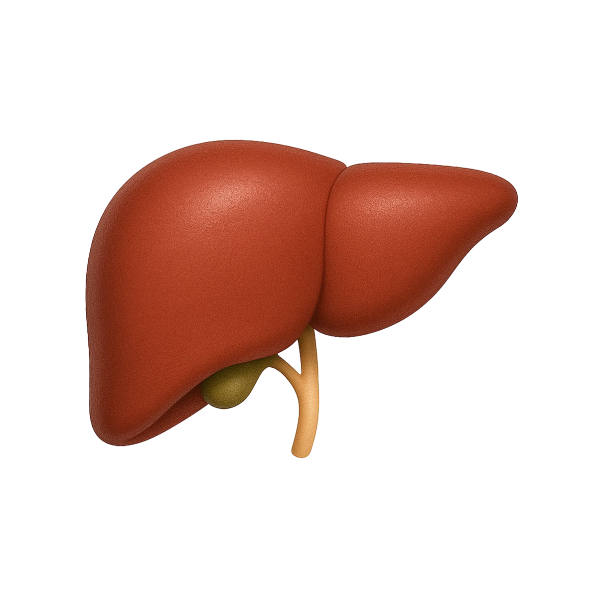 con_liver.webp