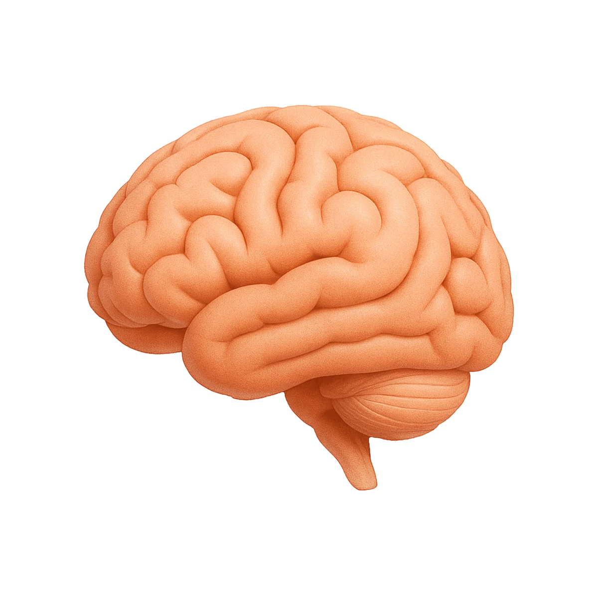 con_mind.webp