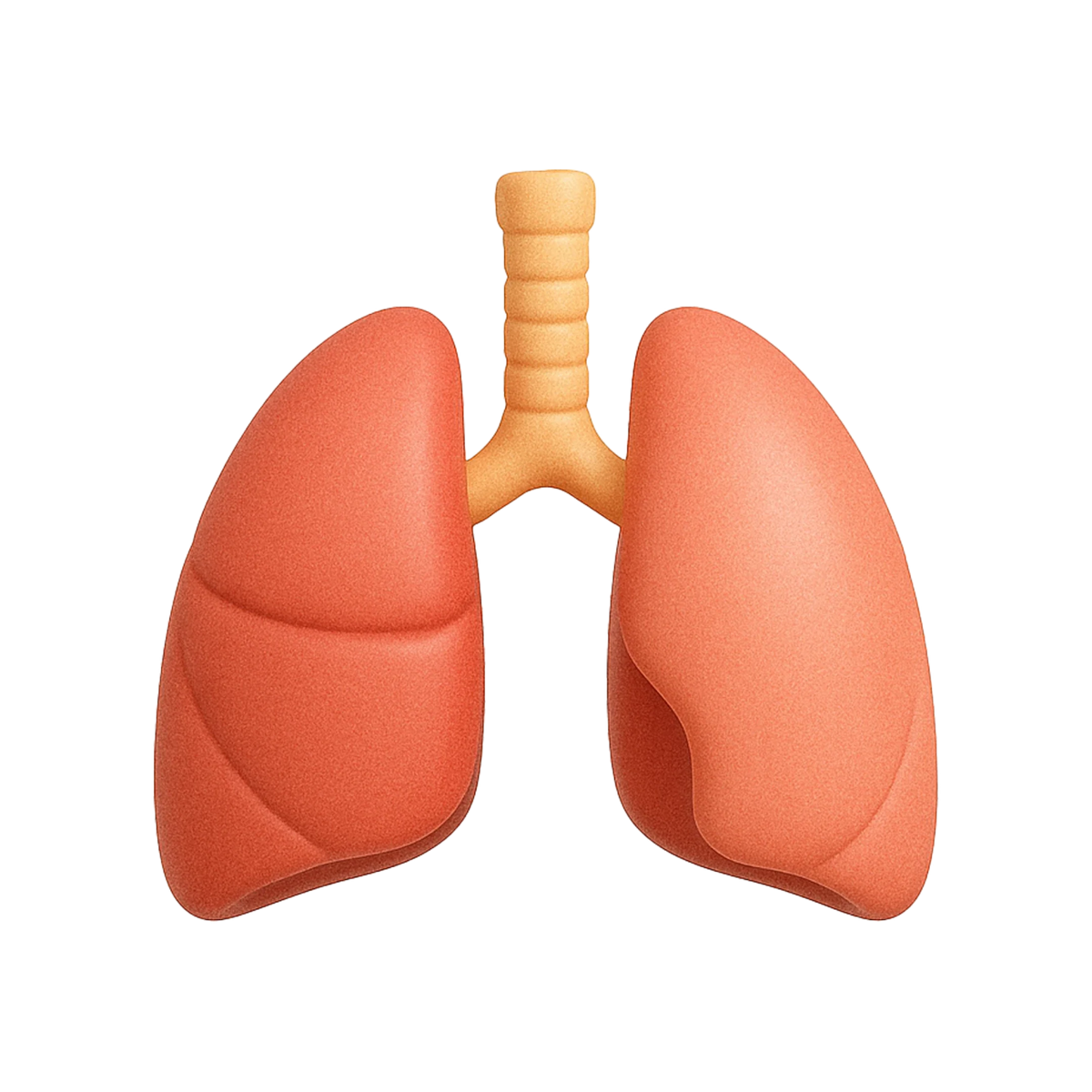 con_respiratory.webp