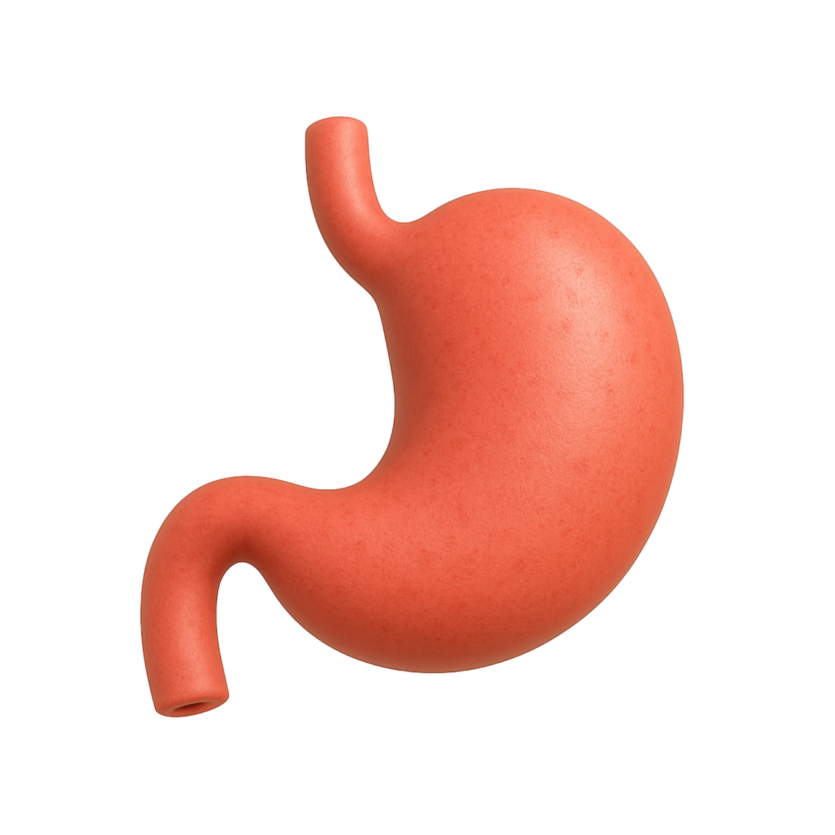 con_stomach.webp