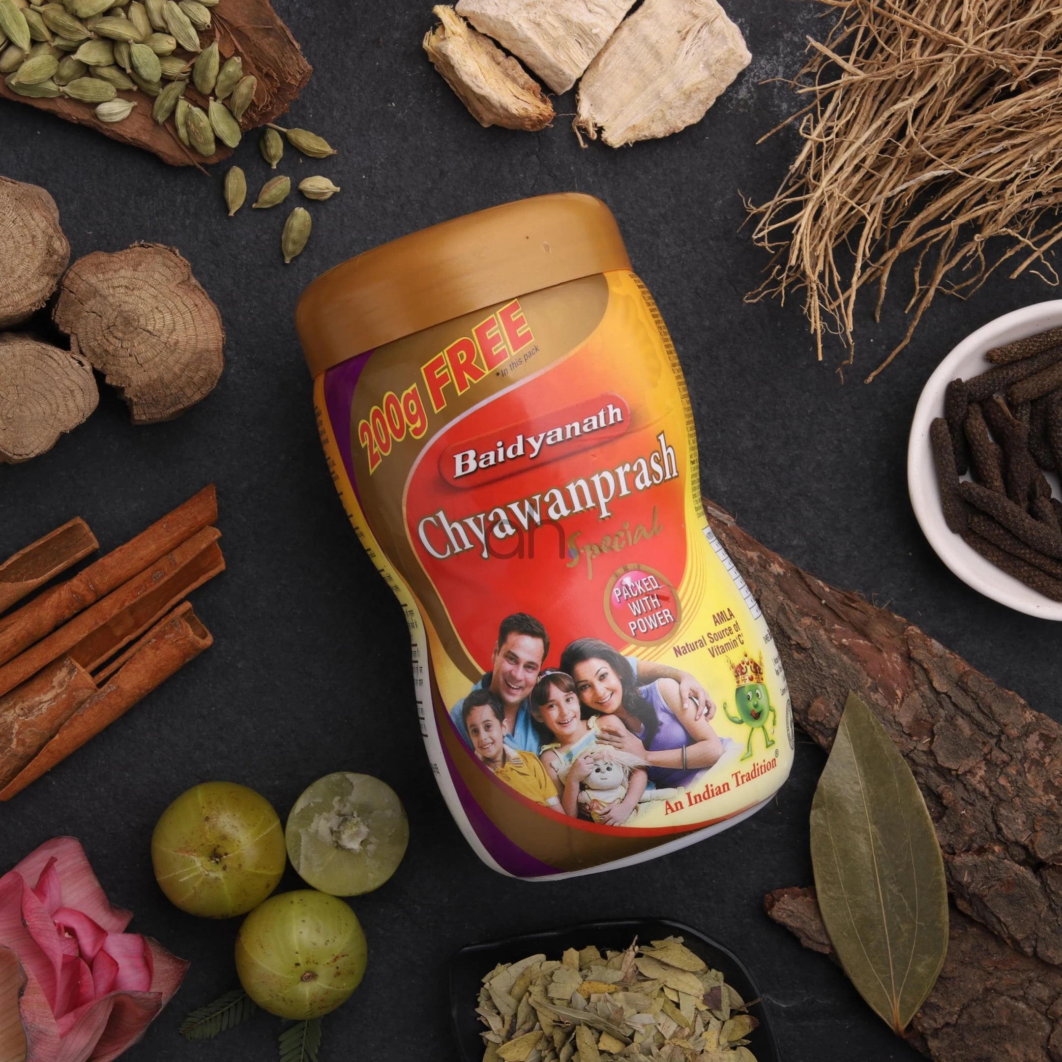 Baidyanath Chyawanprash Special
