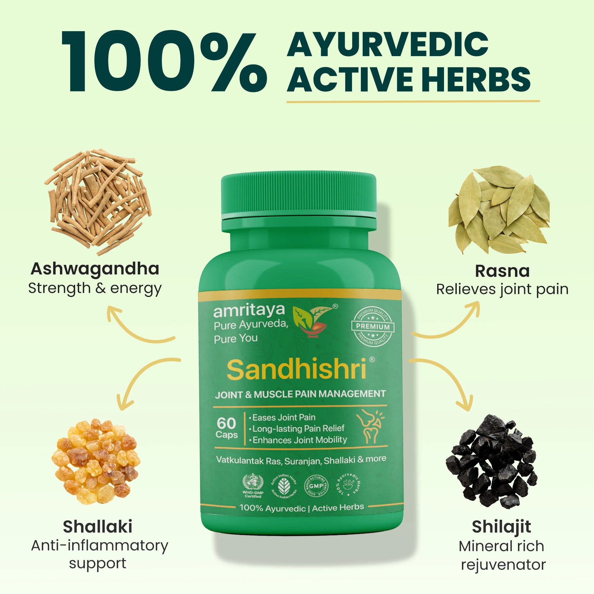 Amritaya Sandhishri Capsule