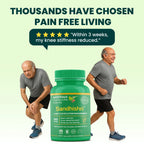 Amritaya Sandhishri Capsule