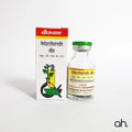 Baidyanath Medoharvidangadi Lauh